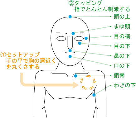 ＥＦＴ画像