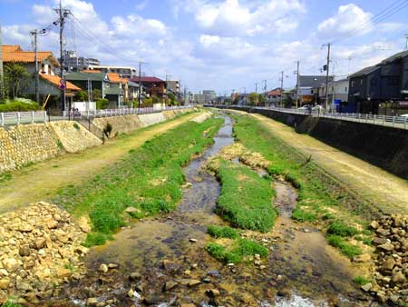 ストレスが原因で病気になってしまう理由