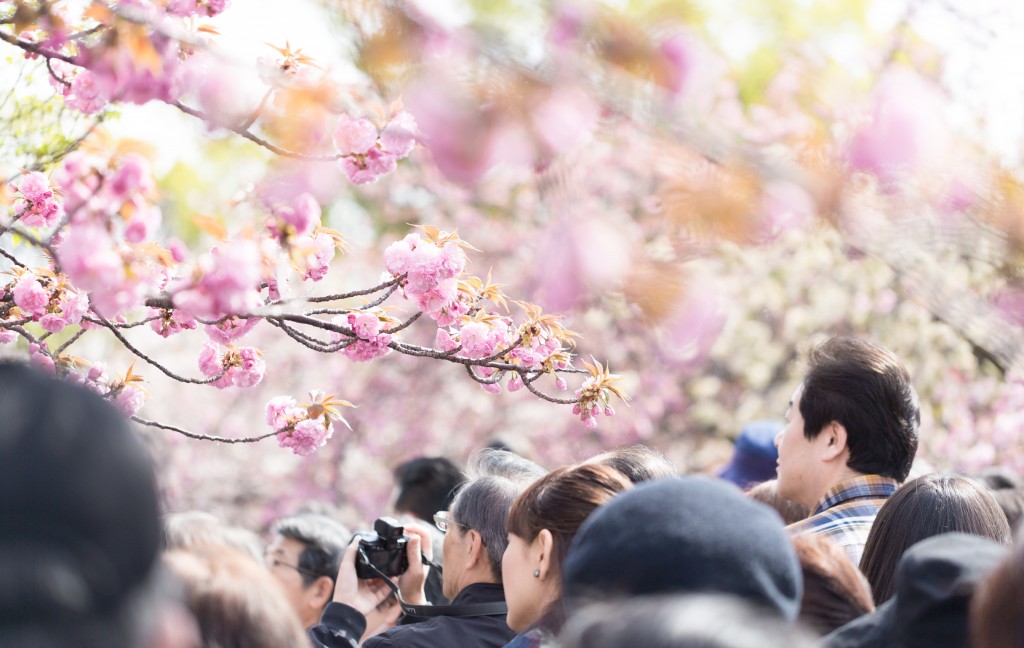 春の肩こりには秘密が丨春は花粉の季節