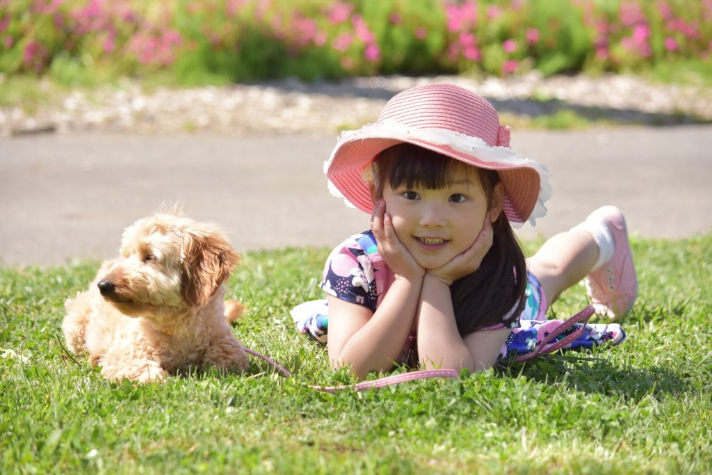 犬と触れ合うことができない！｜最大の犬アレルギー対策は治すことです