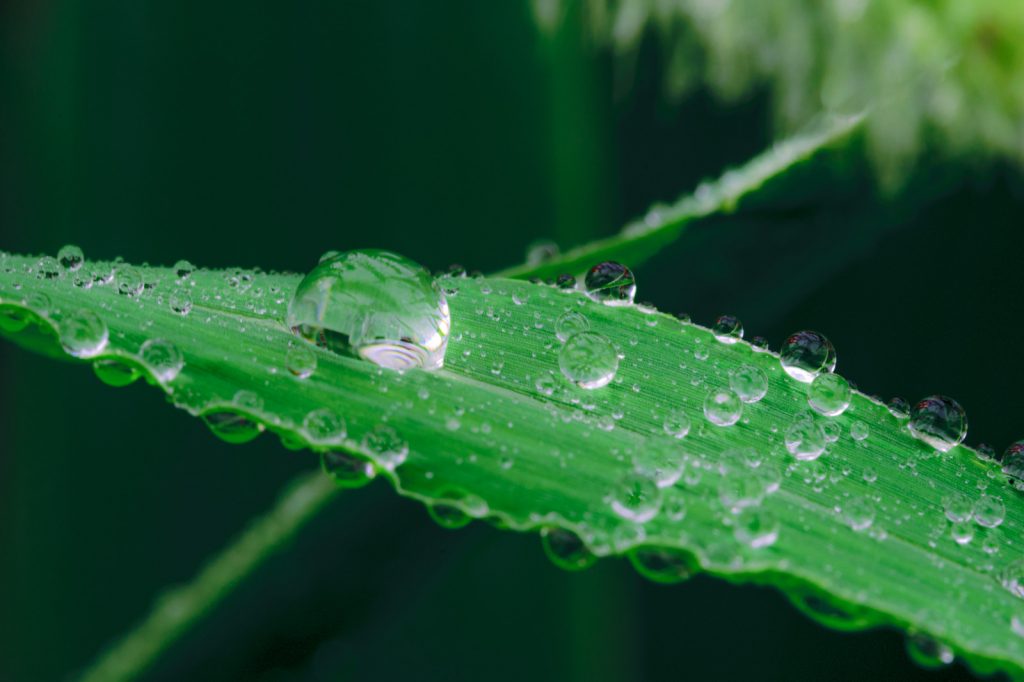 雨が降ると膝が痛む│鍼灸等では言われる症状ですが