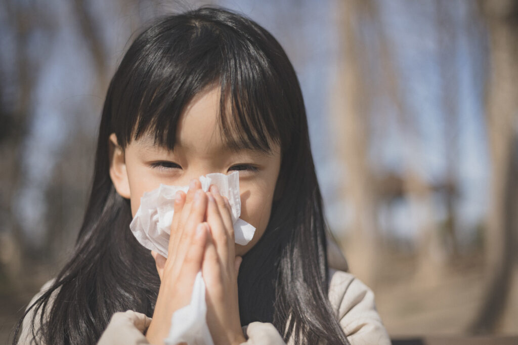 年中花粉症なんです│重症の花粉症も努力なしにか完治可能